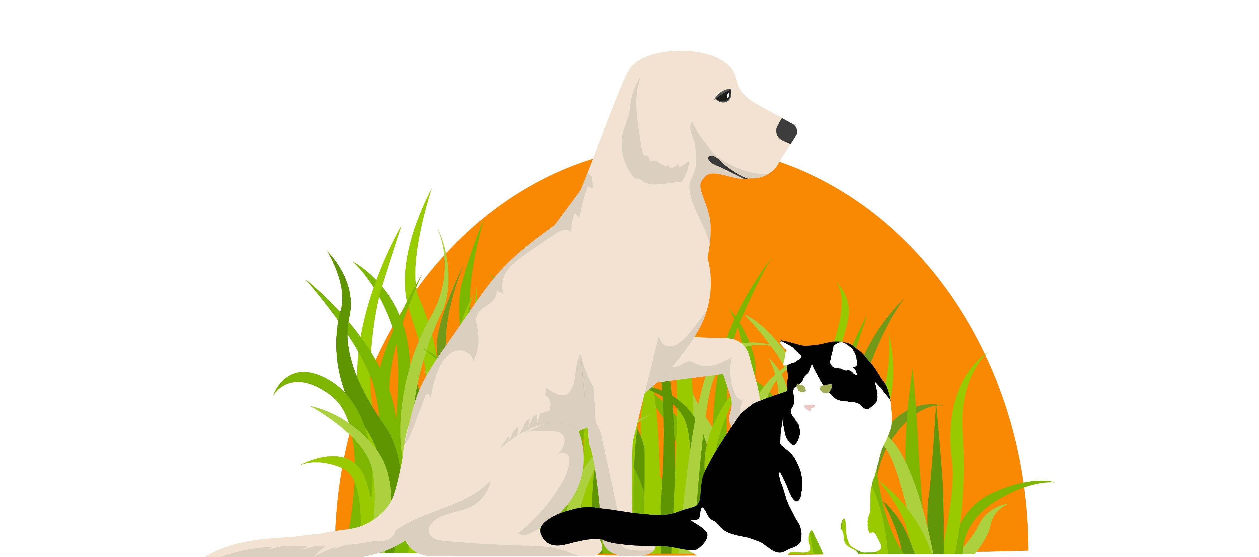 Brighton Kennels and Cattery